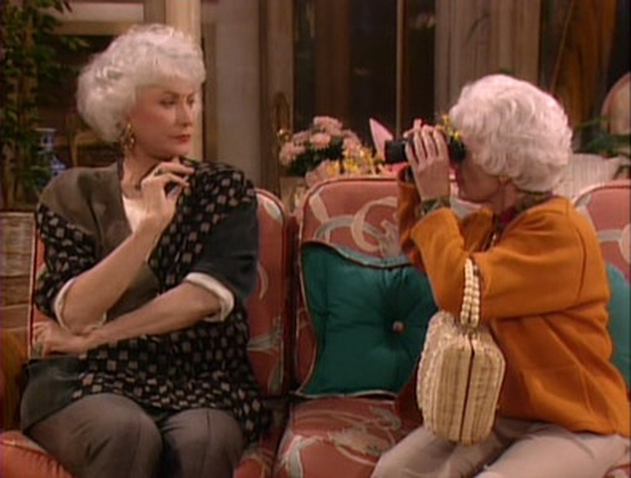 The Golden Girls - Season 6 Episode 21 : Witness