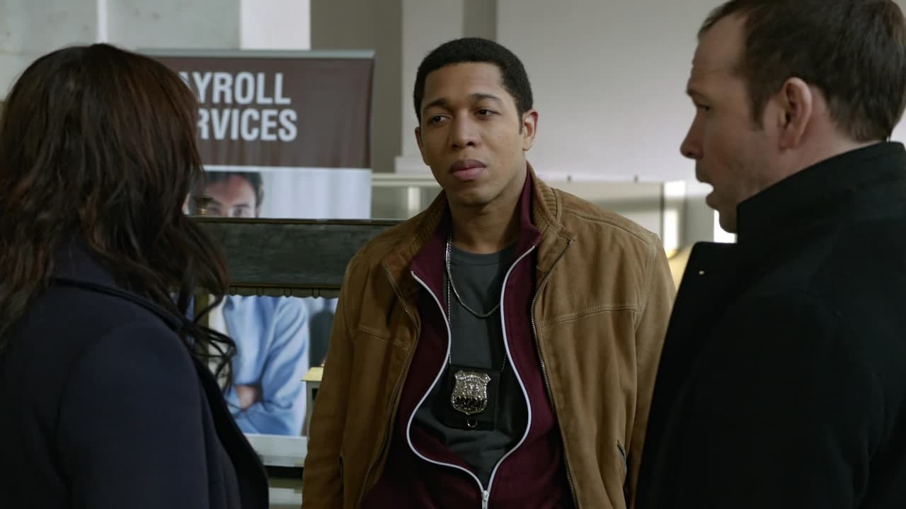 Blue Bloods - Season 3 Episode 17 : Protest Too Much