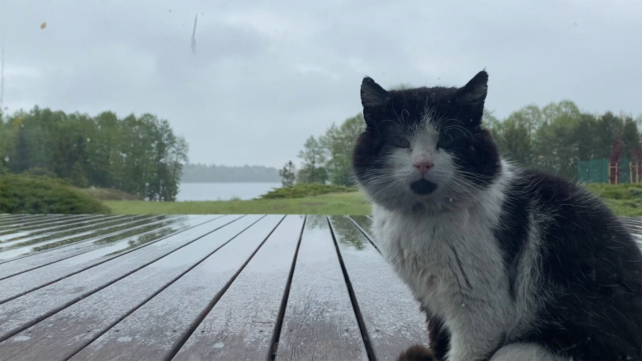 W domu (Polska) — Épisode 8