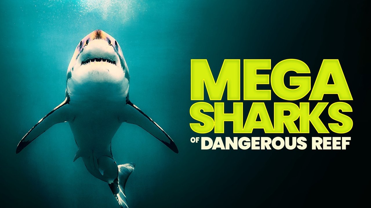 Mega Sharks of Dangerous Reef