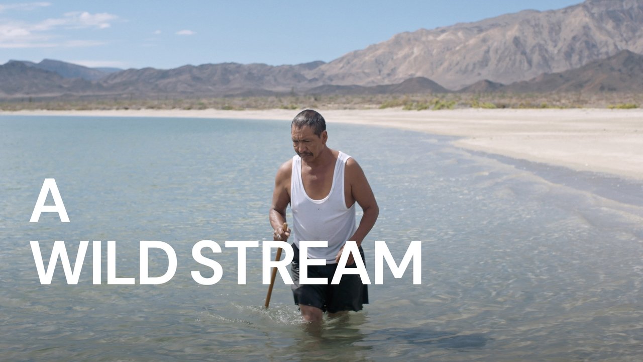 Una corriente salvaje