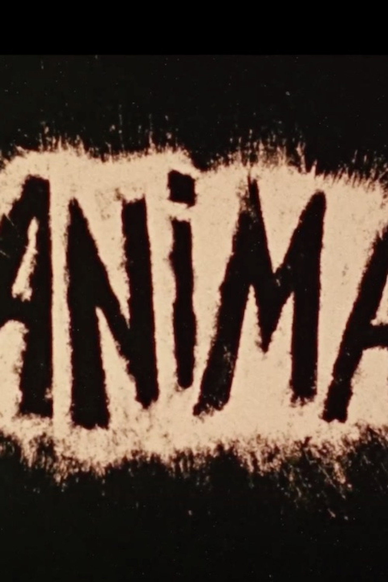 Anima filmaffisch