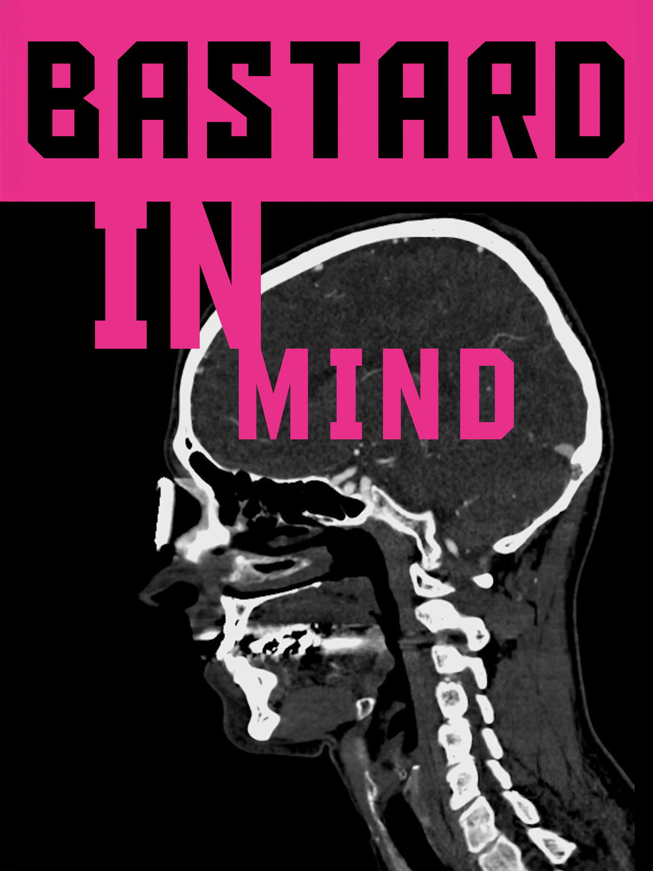 Bastard in Mind filmaffisch