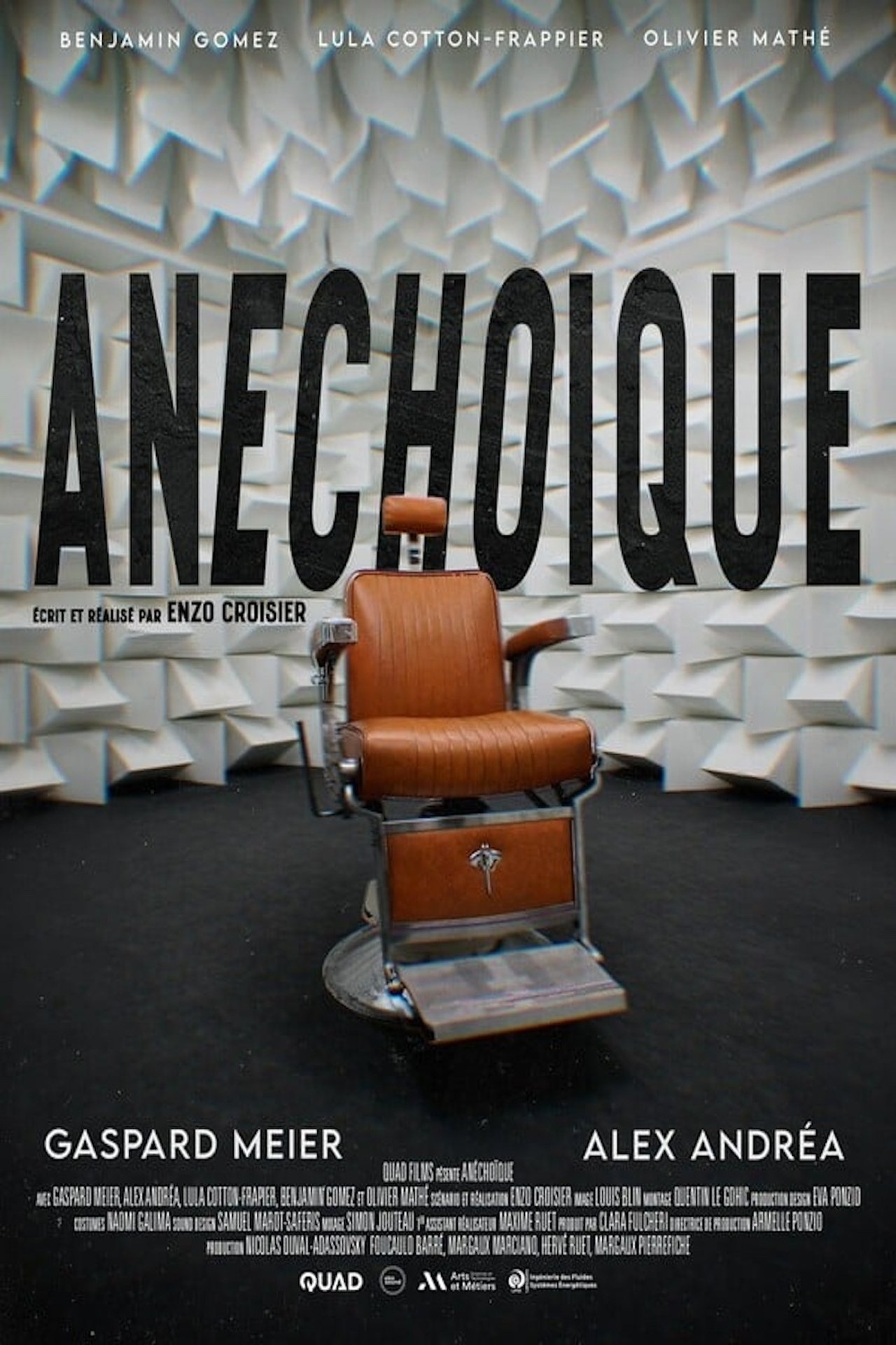 Anéchoïque poster