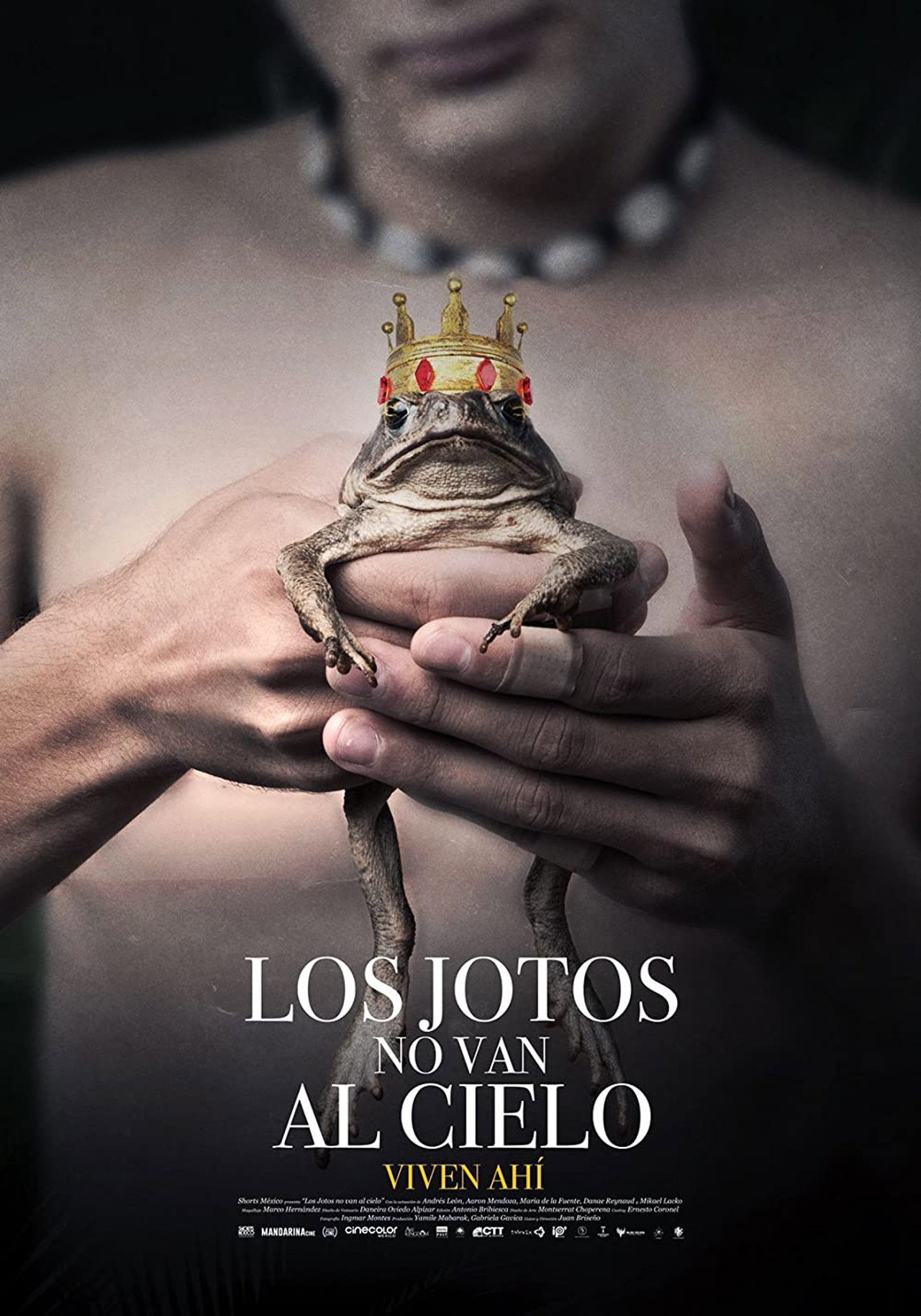 Los jotos no van al cielo filmaffisch
