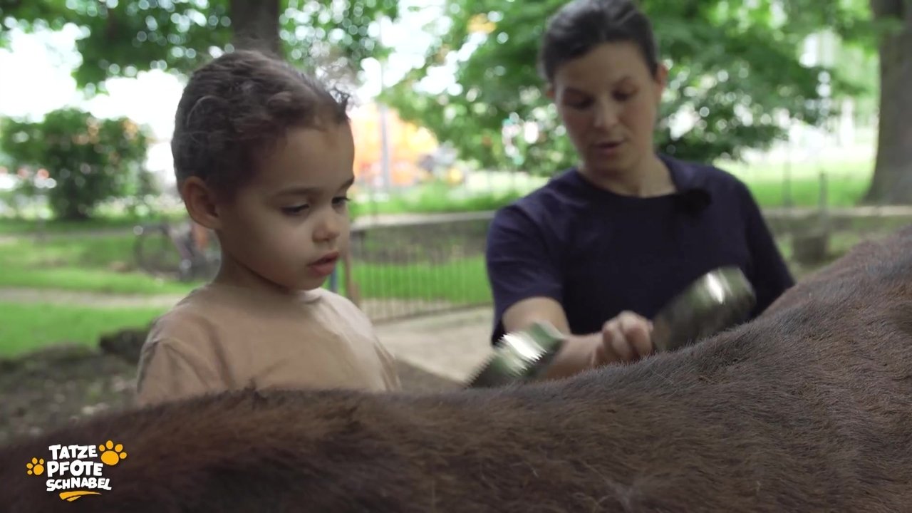 Tatze, Pfote, Schnabel - Season 2 Episode 16 : Episode 16