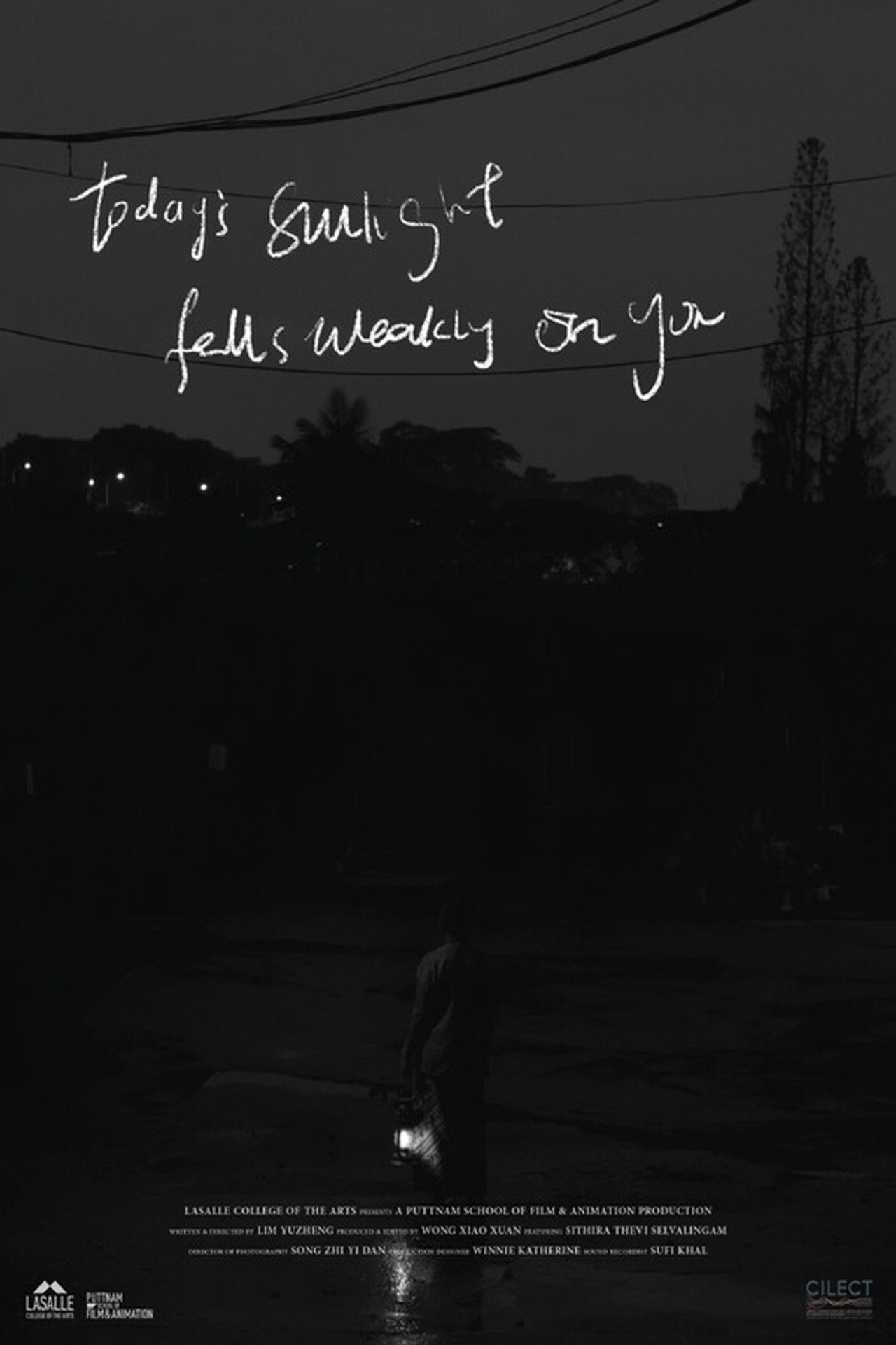 Today's Sunlight Falls Weakly on You