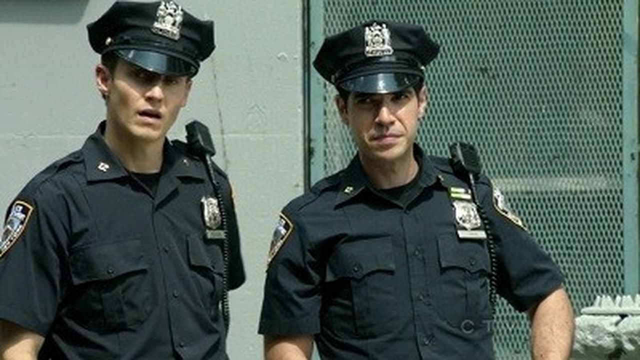 Blue Bloods - Season 3 Episode 4 : Scorched Earth