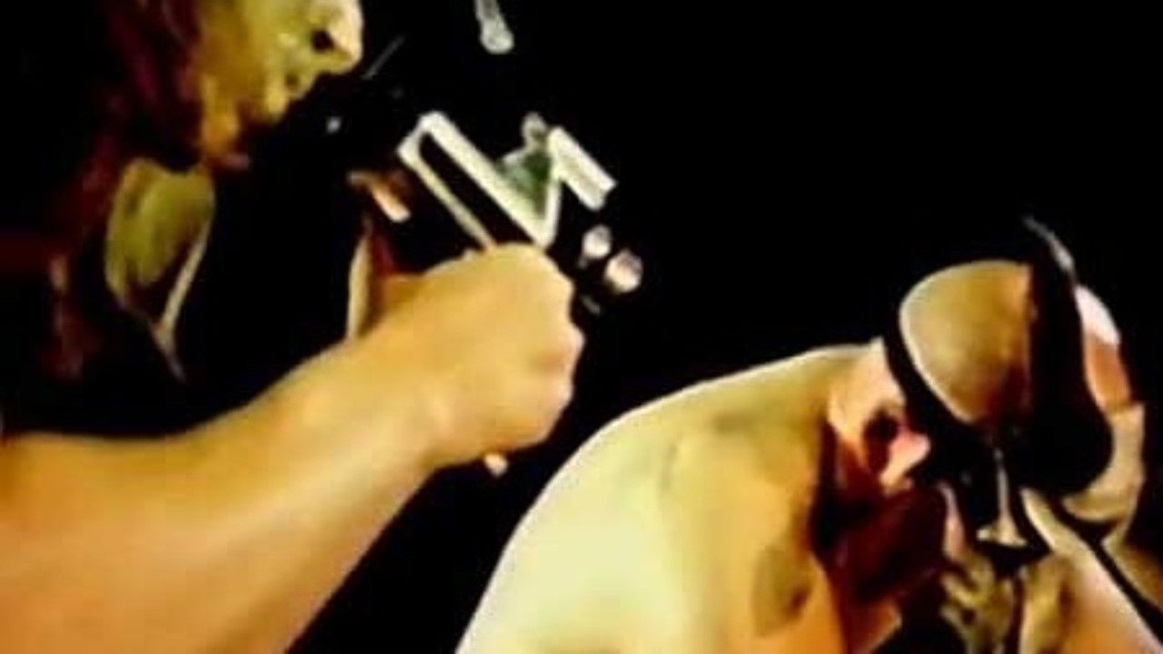 American Guinea Pig: Bouquet of Guts and Gore backdrop image