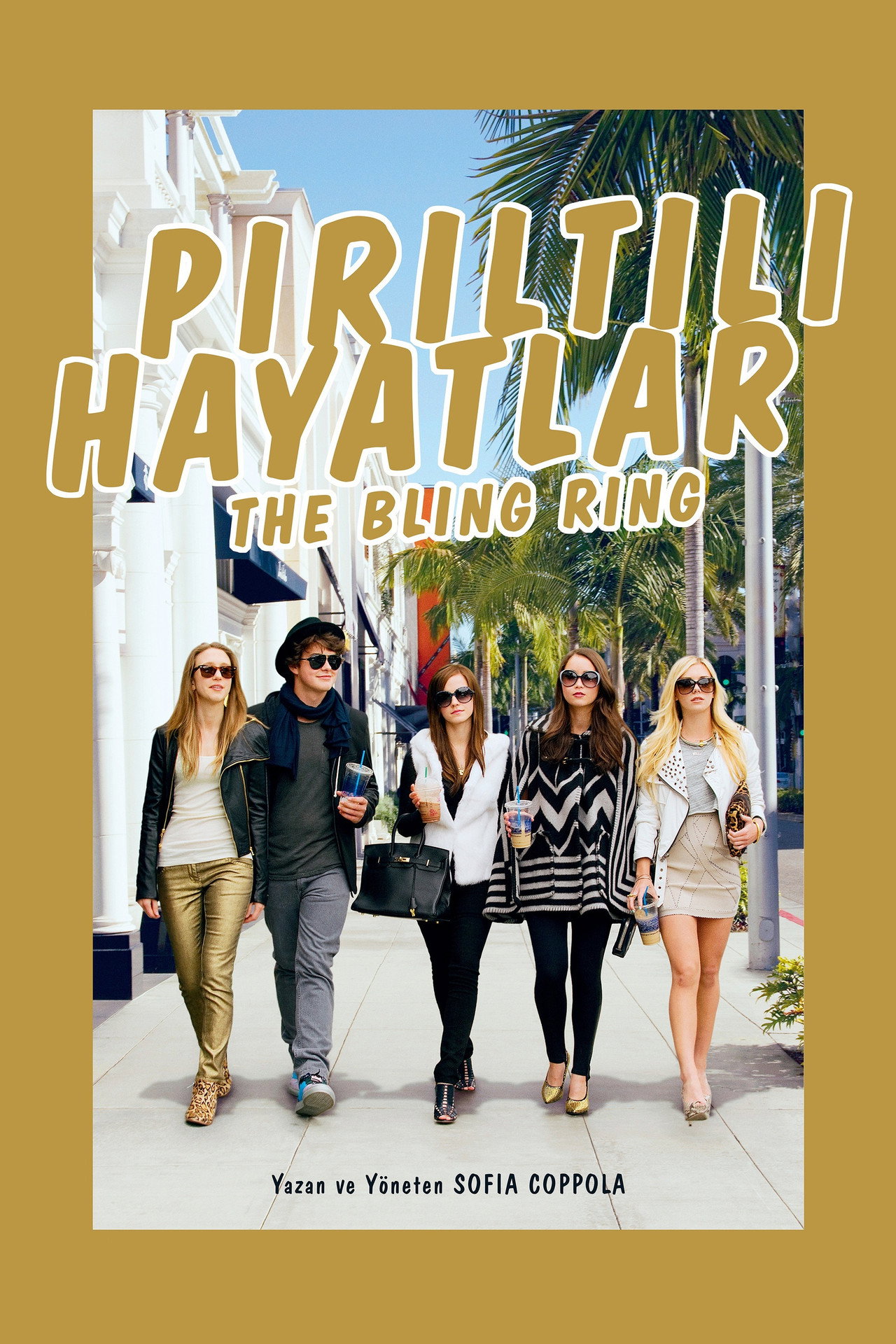 Pırıltılı Hayatlar Poster