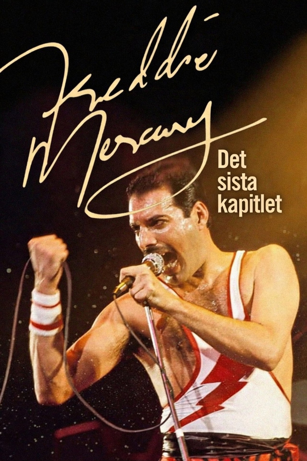 Freddie Mercury - Det sista kapitlet filmaffisch