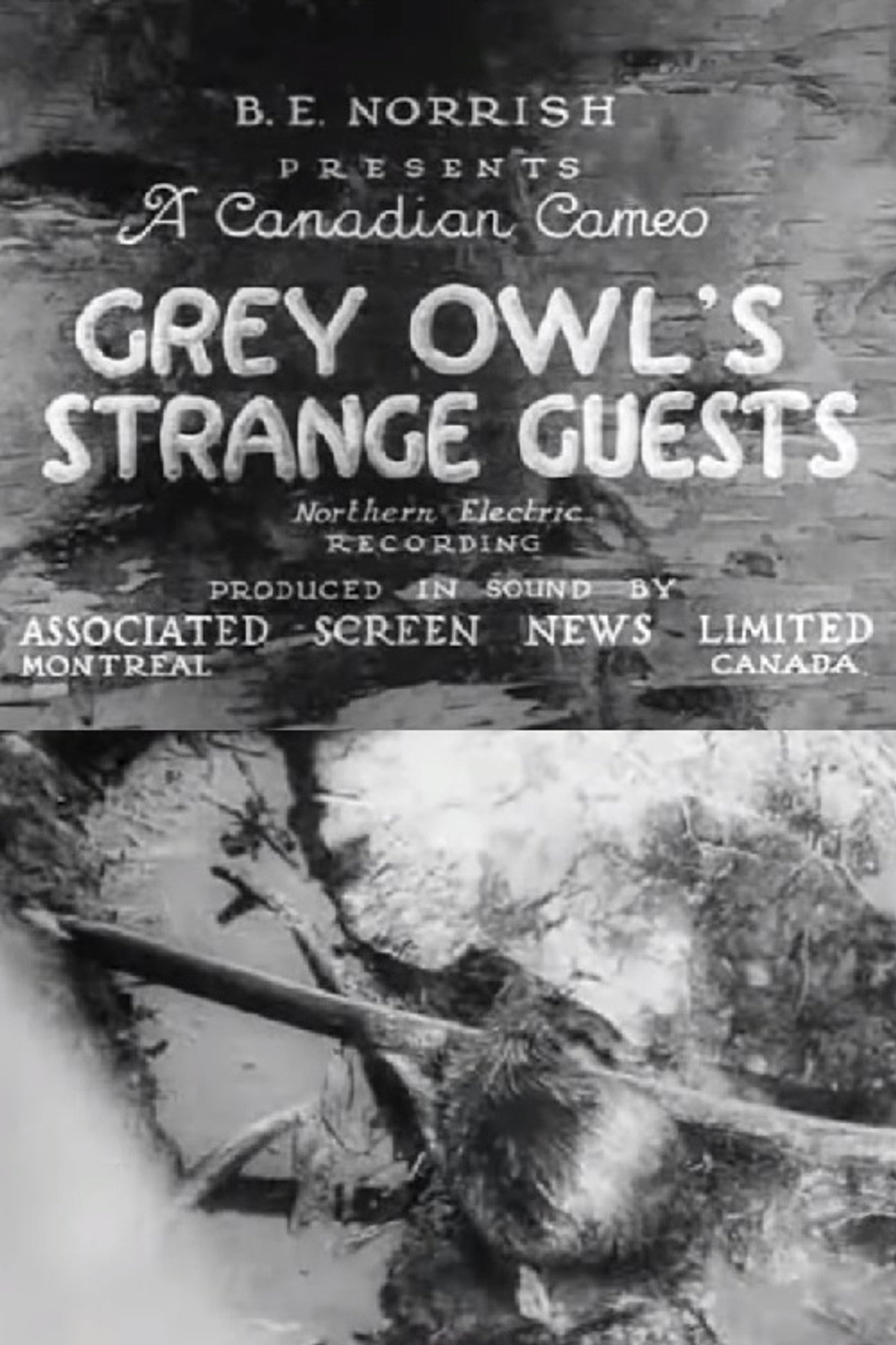 Grey Owl's Strange Guests filmaffisch