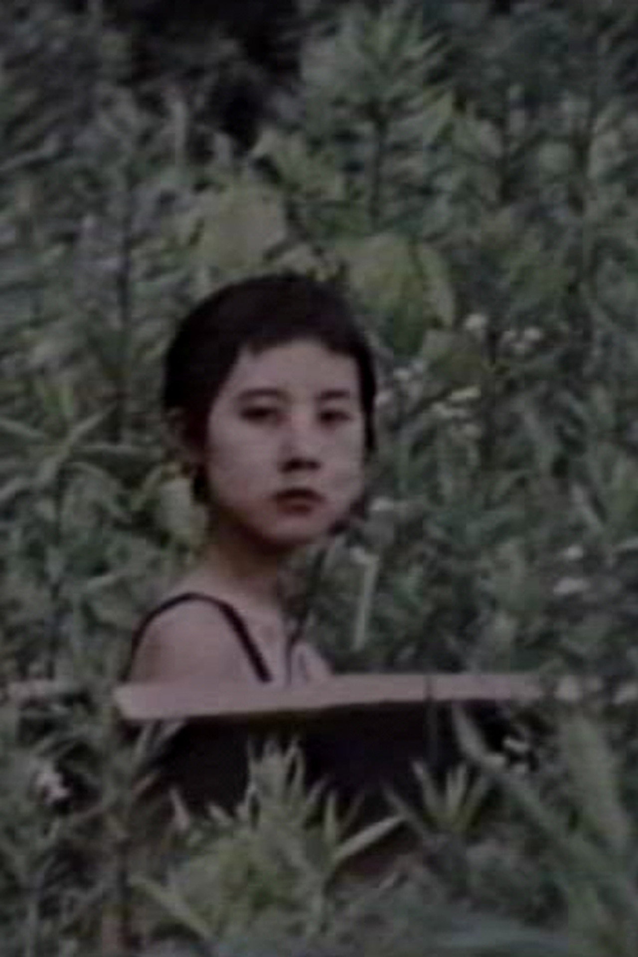 机の女 filmaffisch