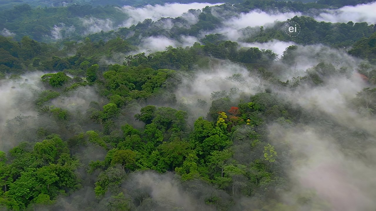 Earth Odyssey with Dylan Dreyer - Season 4 Episode 8 : Best of Latin America