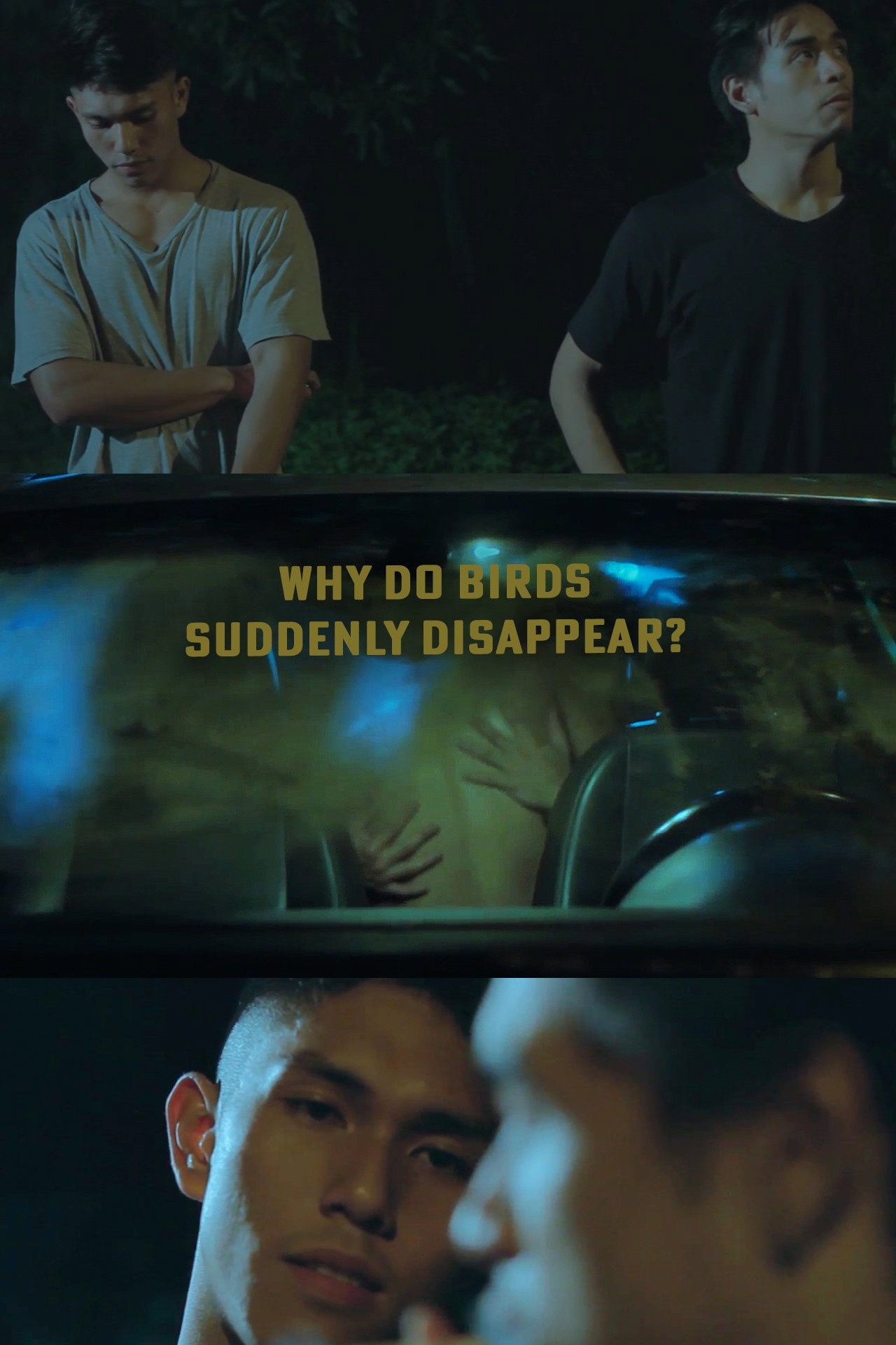 Why Do Birds Suddenly Disappear? filmaffisch