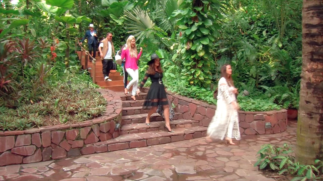 The Real Housewives of Beverly Hills - Season 7 Episode 10 : Hostile Hacienda