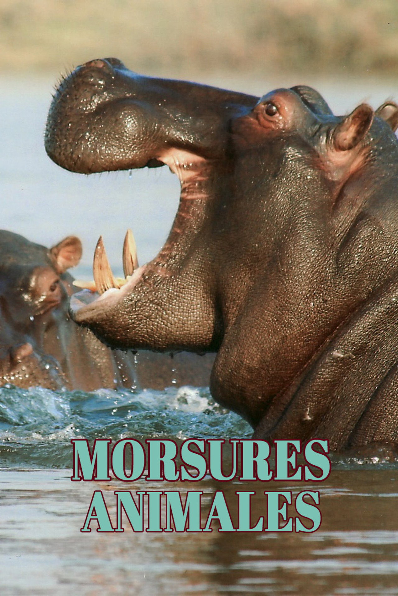 Morsures animales poster