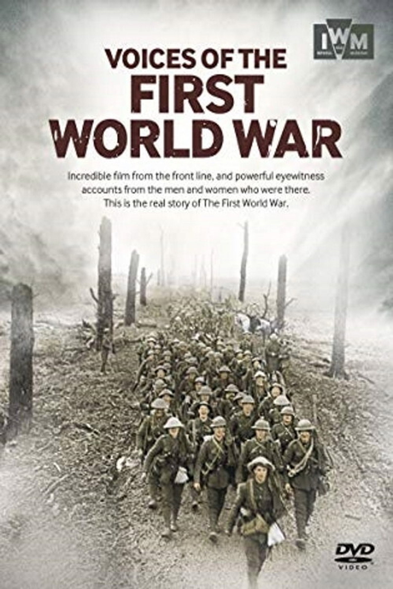 Voices of the First World War poster
