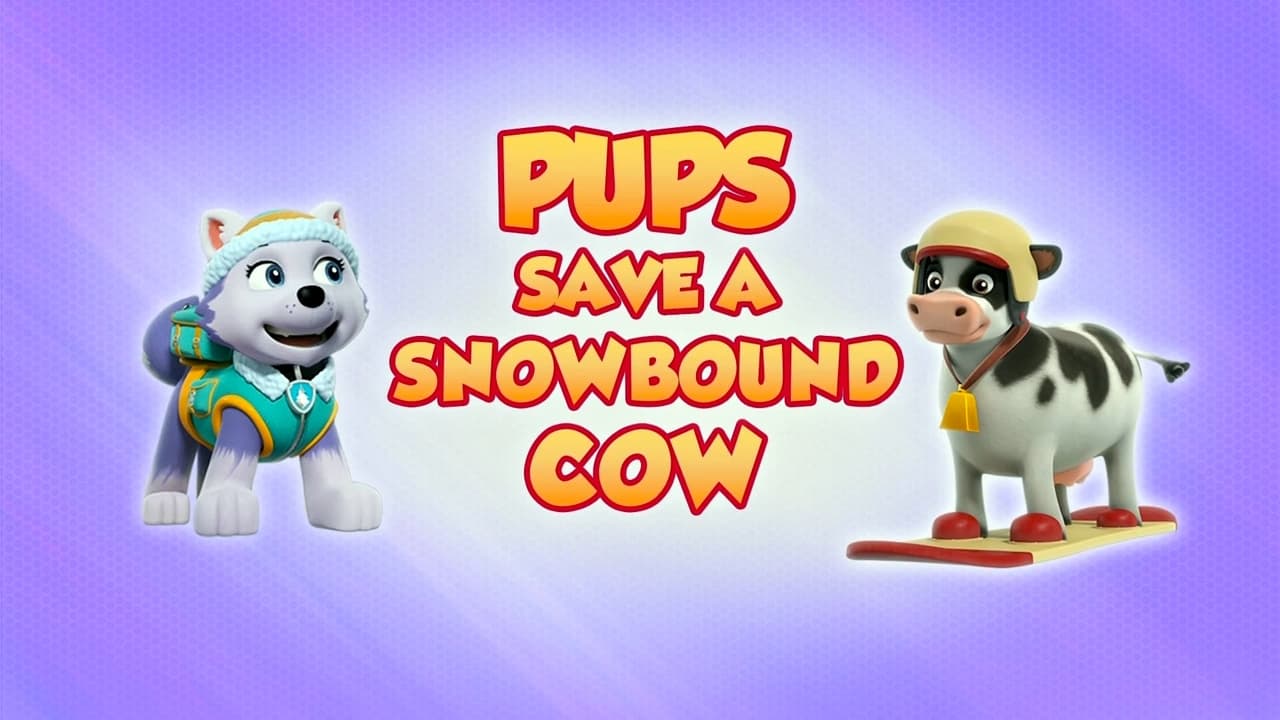 PAW Patrol - Season 8 Episode 2 : Pups Save a Snowbound Cow