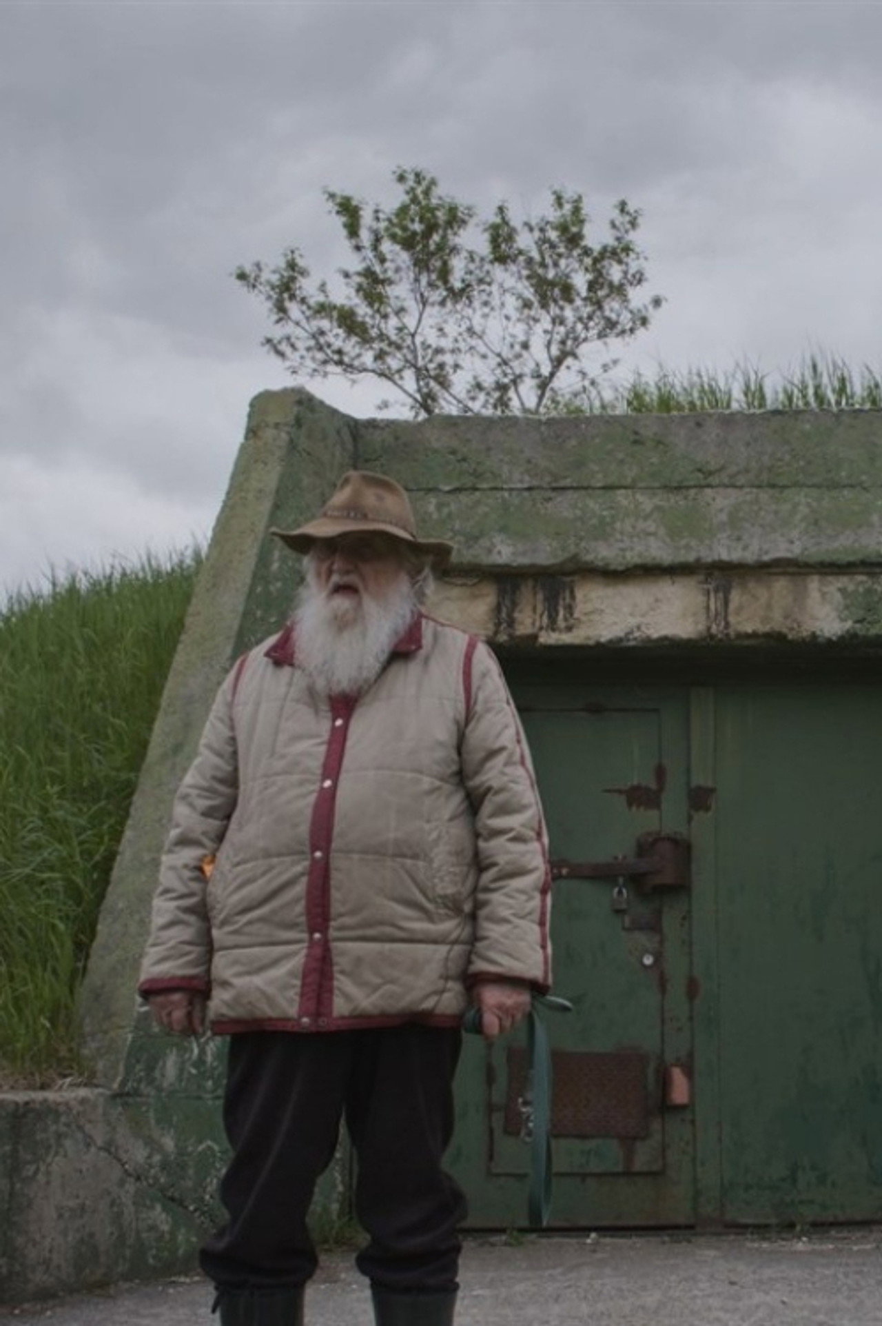 Shelter filmaffisch