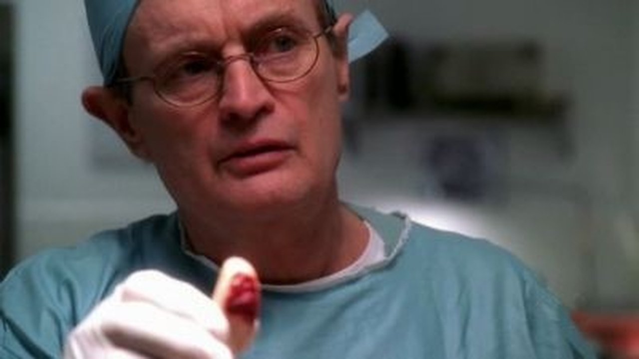 NCIS - Season 2 Episode 13 : The Meat Puzzle