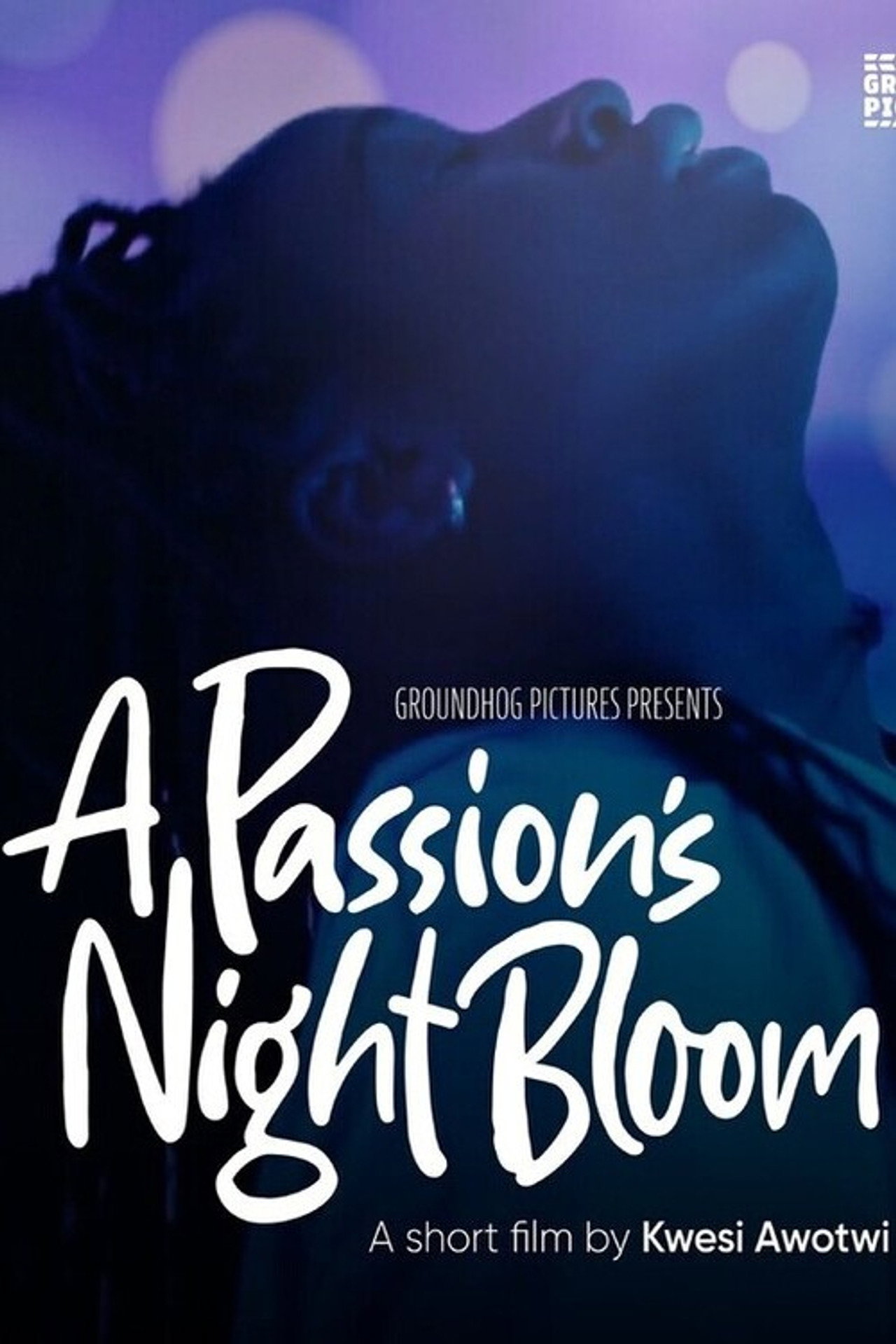 A Passion's Night Bloom filmaffisch