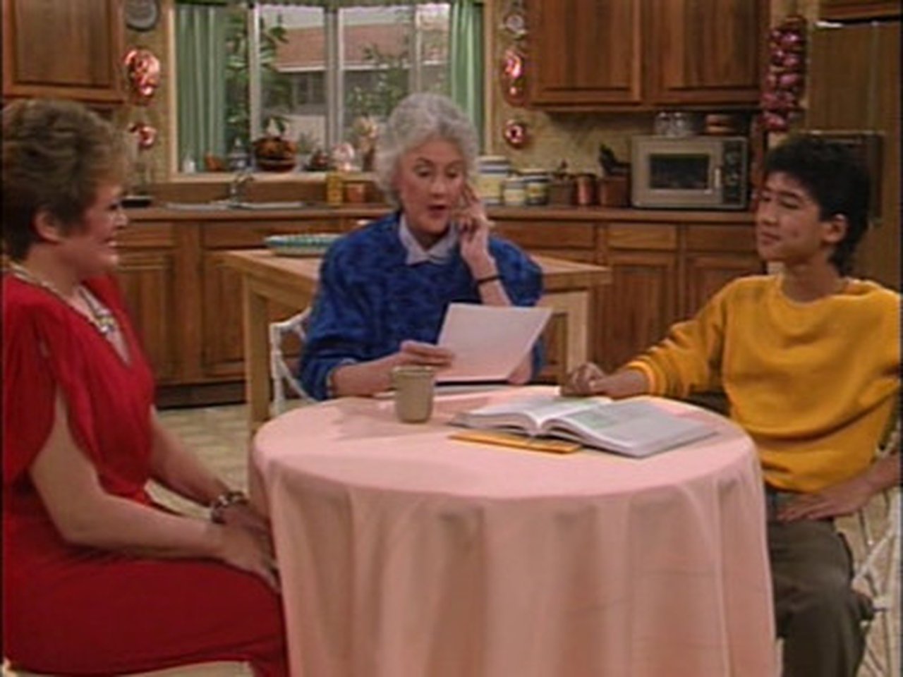 The Golden Girls - Season 2 Episode 21 : Dorothy's Prized Pupil