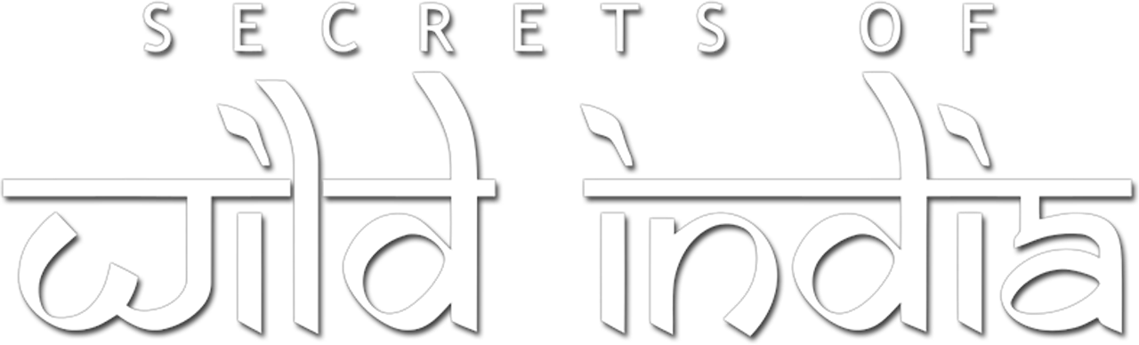 Secrets of Wild India
