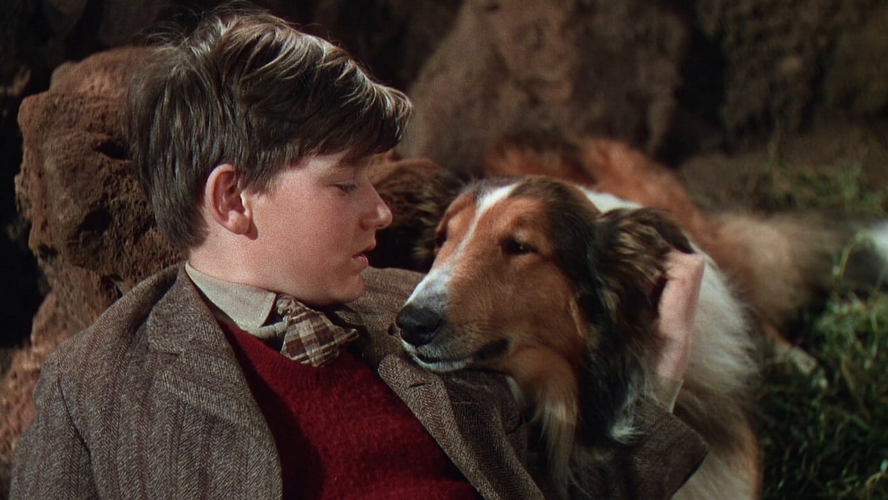 Scen från Lassie på äventyr