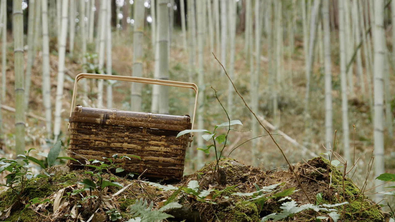 15 Minutes — Épisode 7