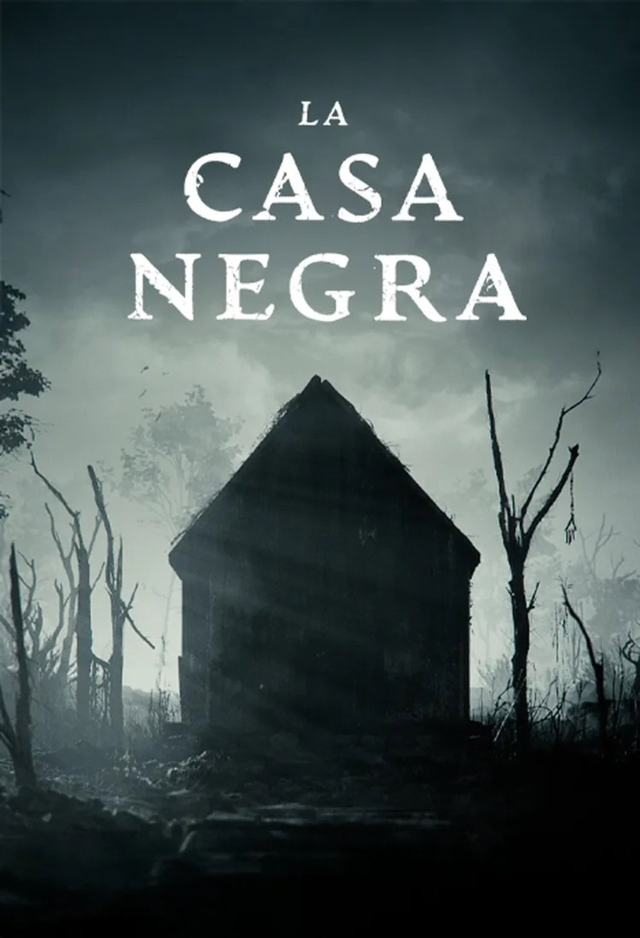 La casa negra filmaffisch