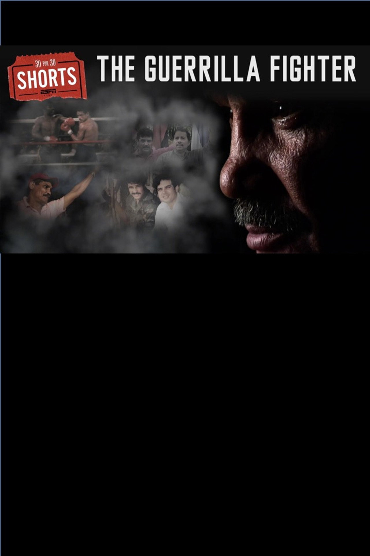 The Guerilla Fighter filmaffisch