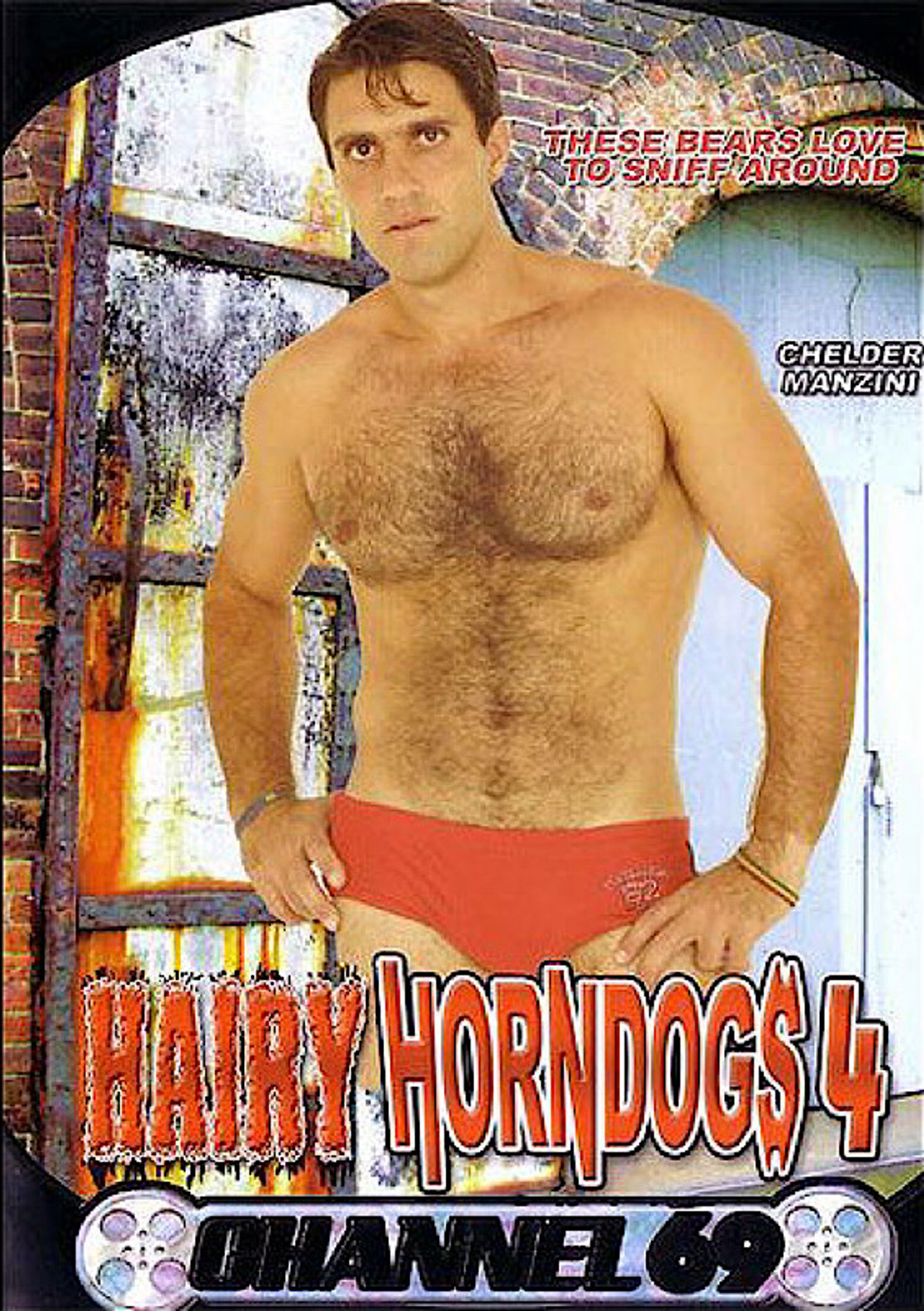Hairy Horndogs 4 filmaffisch