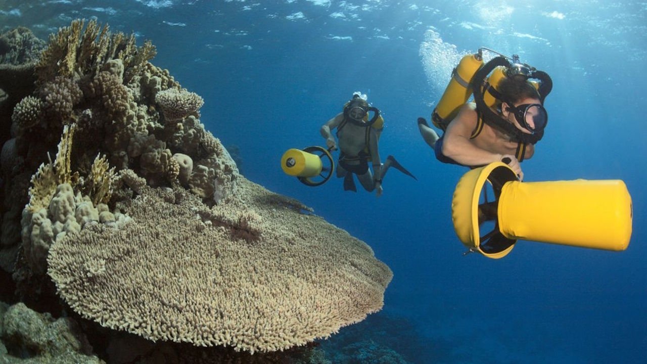 Jacques Cousteau's Vermächtnis - Rückkehr zu den Geheimnissen des Meeres background