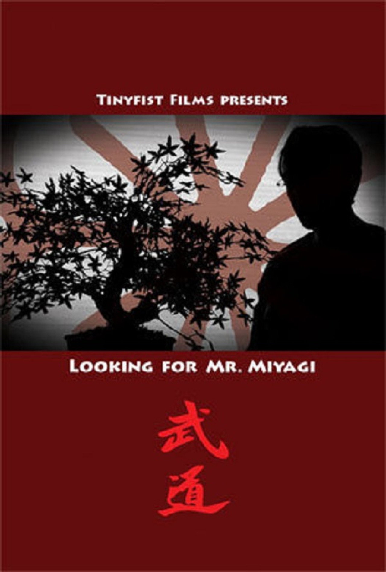 Looking for Mr. Miyagi filmaffisch