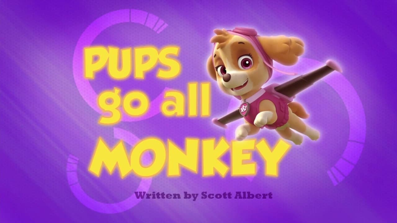 PAW Patrol - Season 1 Episode 35 : Pups Go All Monkey