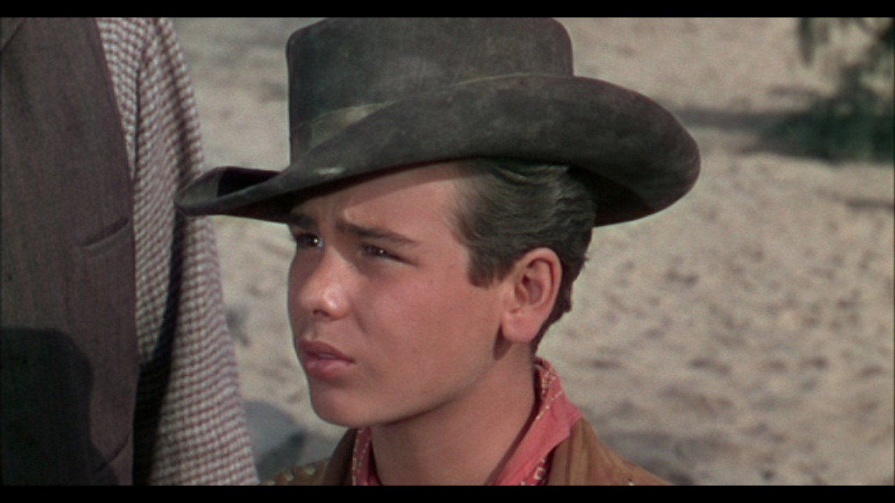 Cattle Drive backdrop