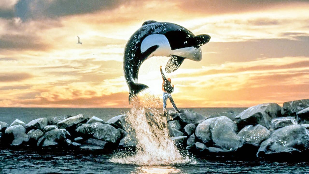 Free Willy Backdrop Image
