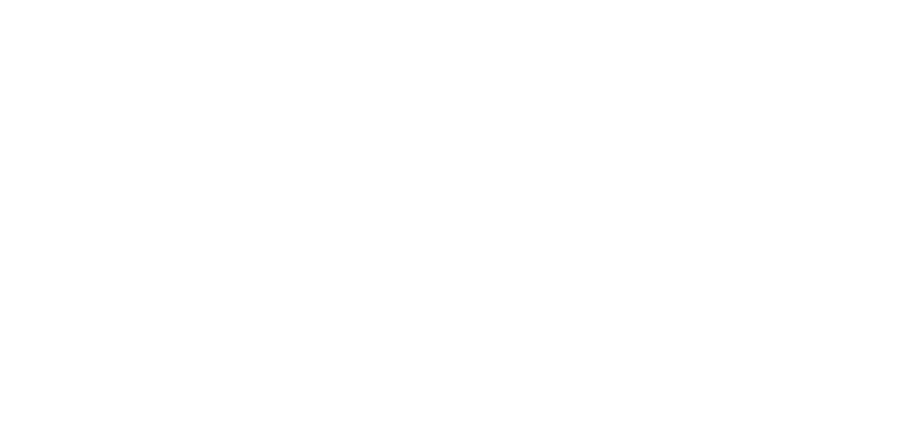 Hidden Landscapes