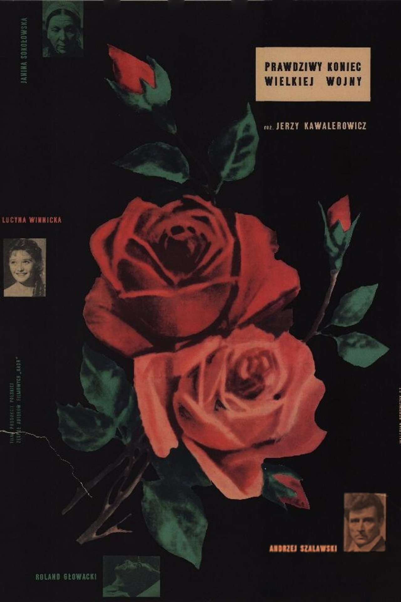 Prawdziwy koniec wielkiej wojny filmaffisch