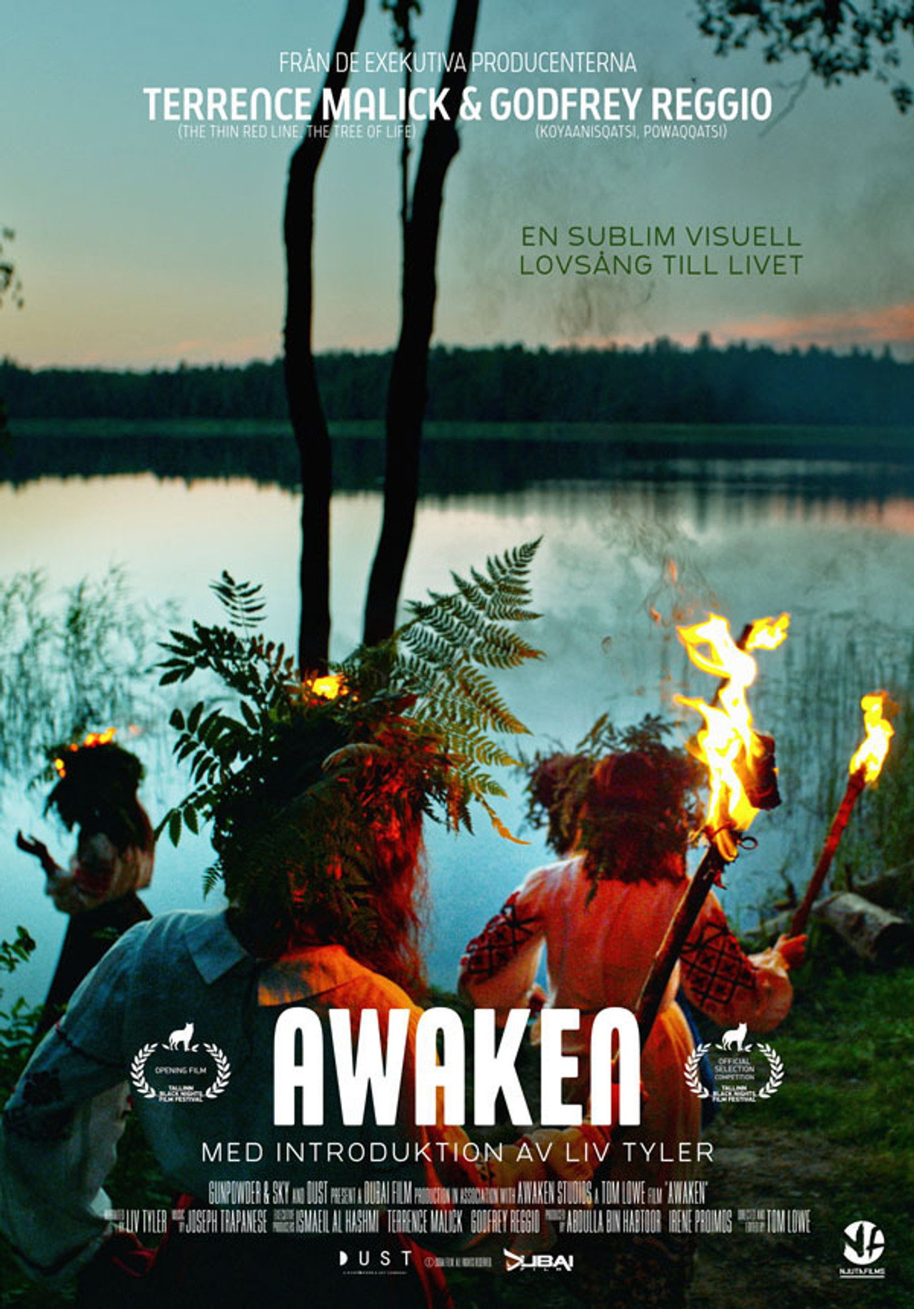Awaken filmaffisch