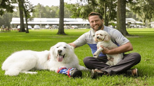 The Wizard of Paws - Season 3 Episode 8 : Gunner