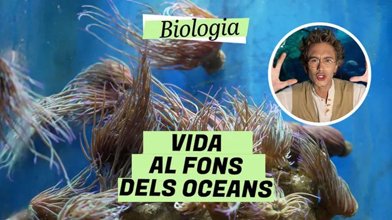 Biologia — Épisode 17