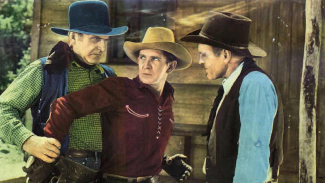 Trail Blazers Collection