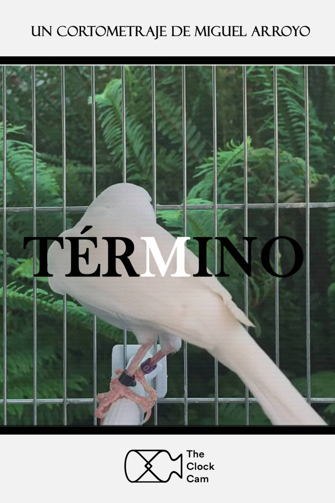 Term poster