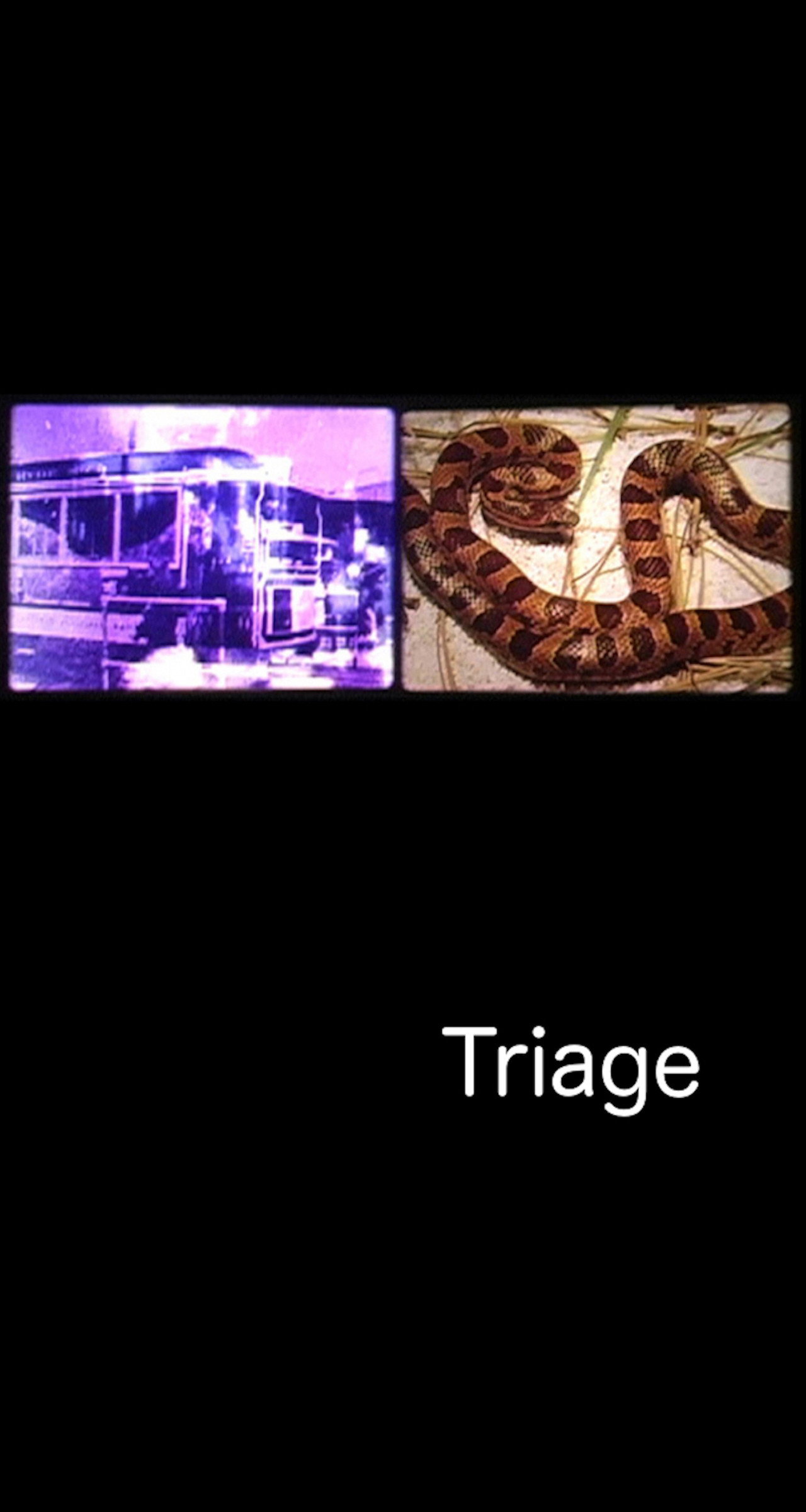 Triage filmaffisch