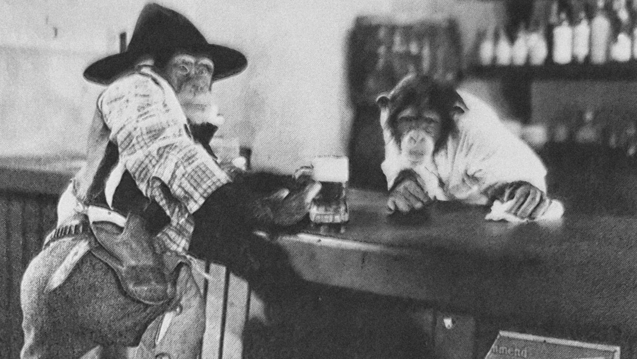 Varka e vogël e mbuluar backdrop