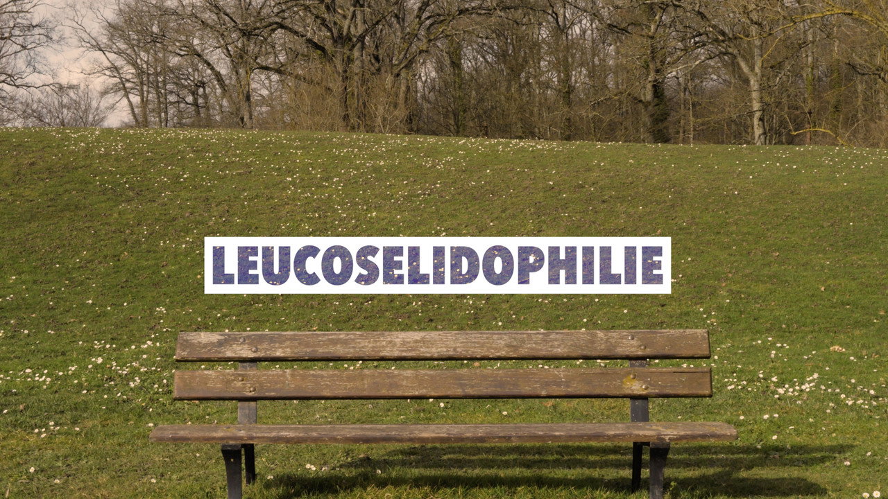 Leucos&eacute;lidophilie - 剧照