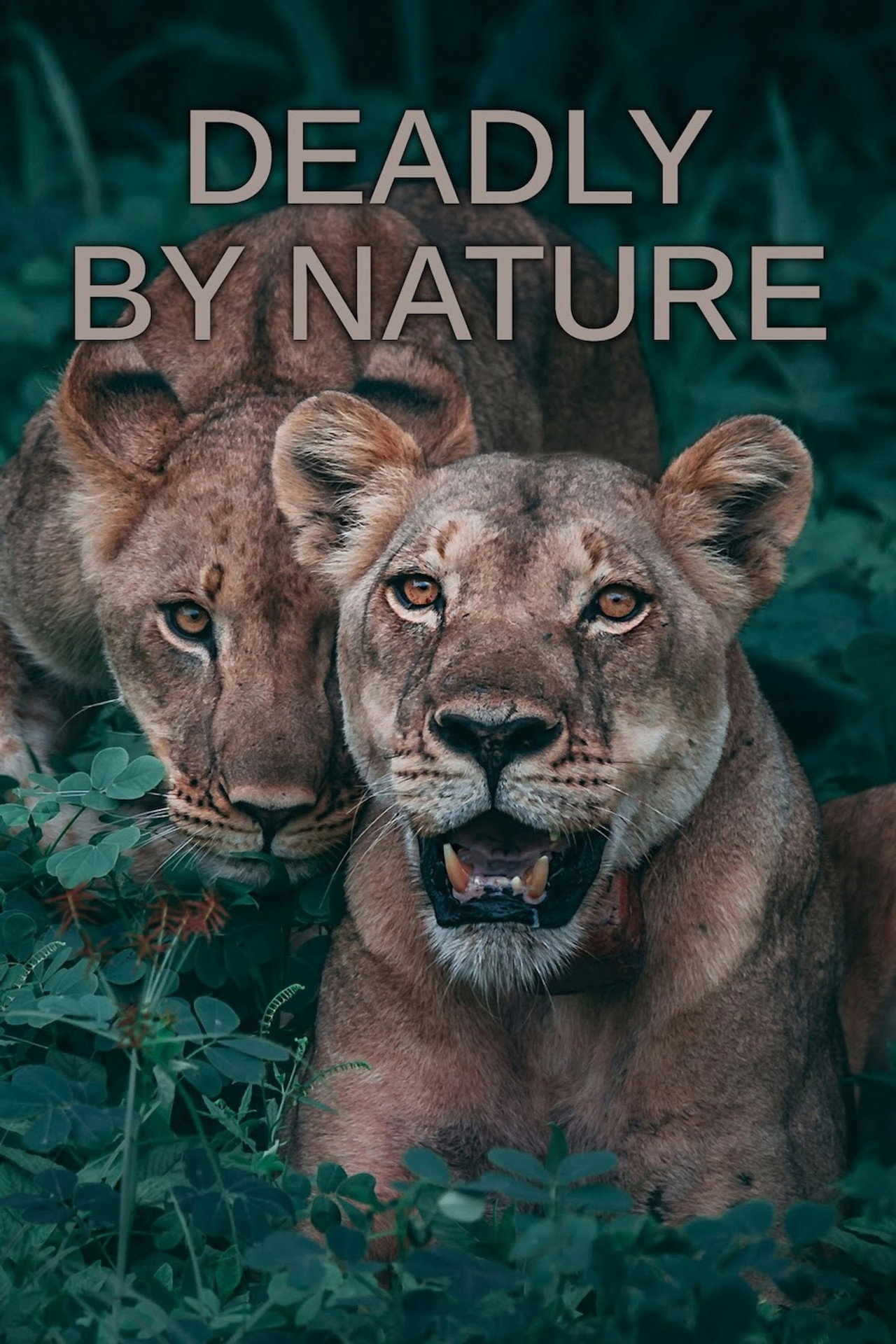Deadly by Nature affisch