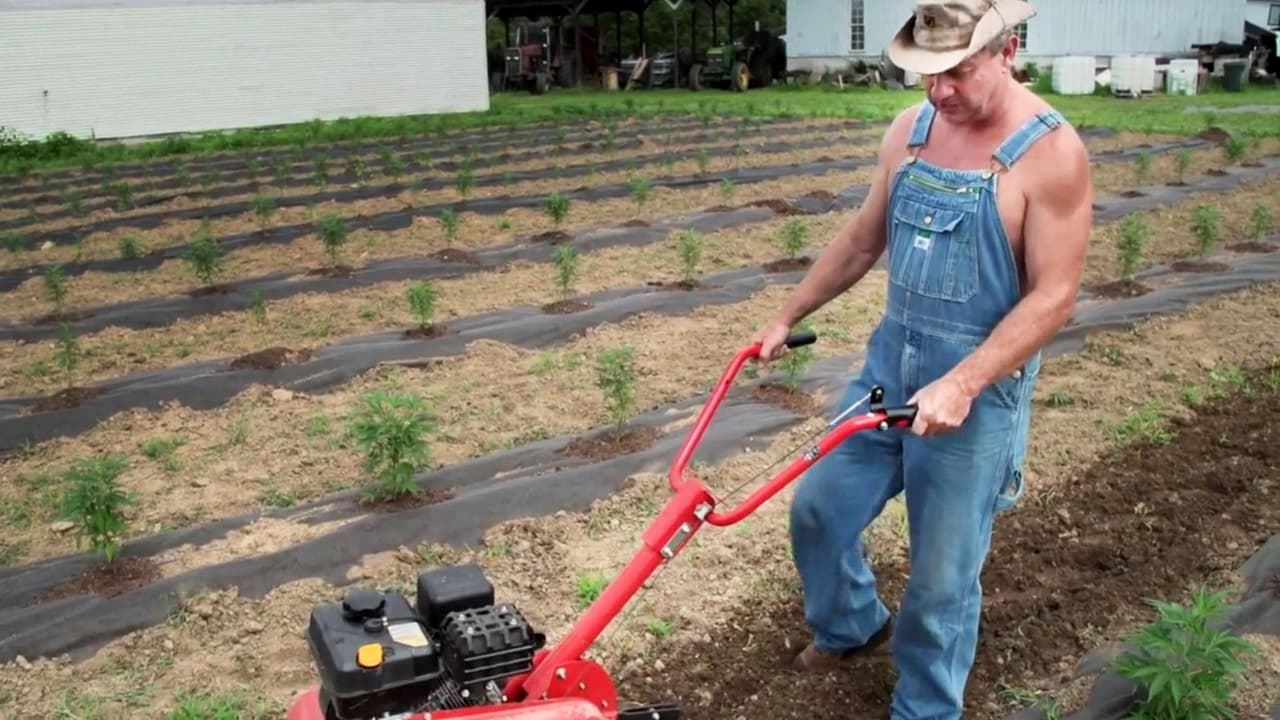 Moonshiners - Season 10 Episode 4 : Backwoods is Booming